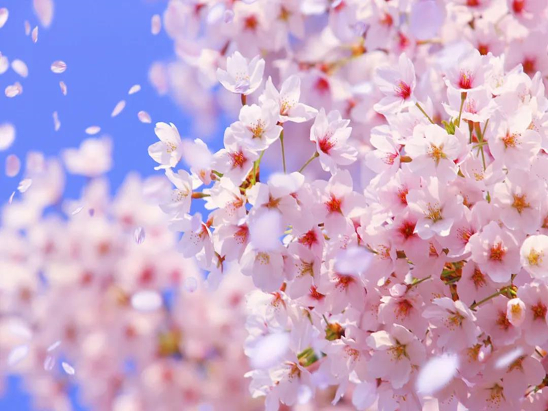 ΢��ͼƬ_20210705161011_����