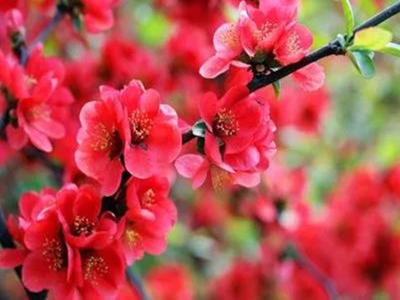 ΢��ͼƬ_20210705161016_����